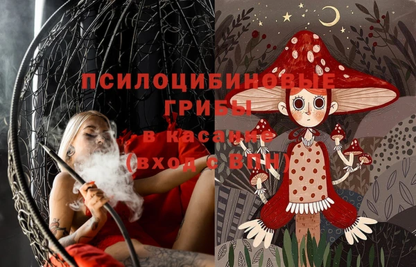 индика Армянск