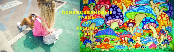 индика Армянск