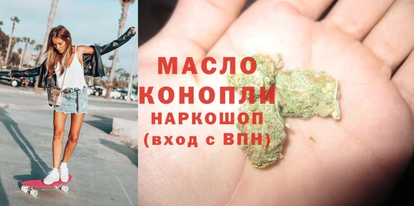 индика Армянск